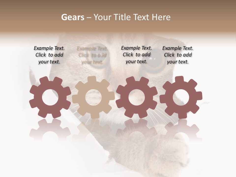 A Cat Peeking Through A Hole In A Paper PowerPoint Template