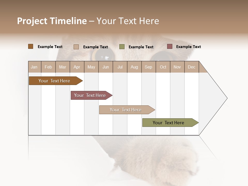 A Cat Peeking Through A Hole In A Paper PowerPoint Template