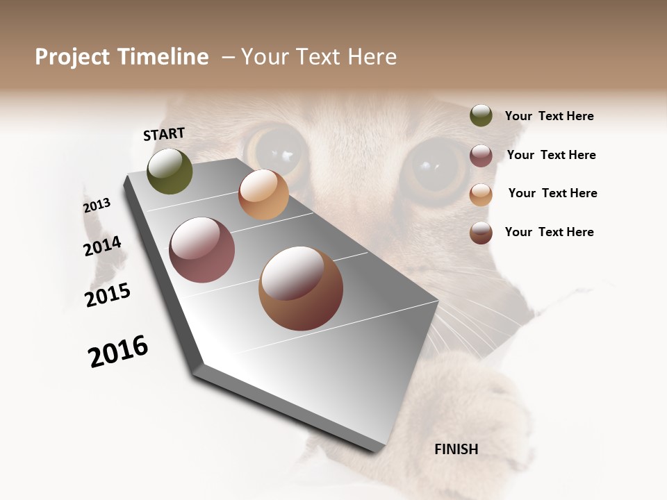 A Cat Peeking Through A Hole In A Paper PowerPoint Template