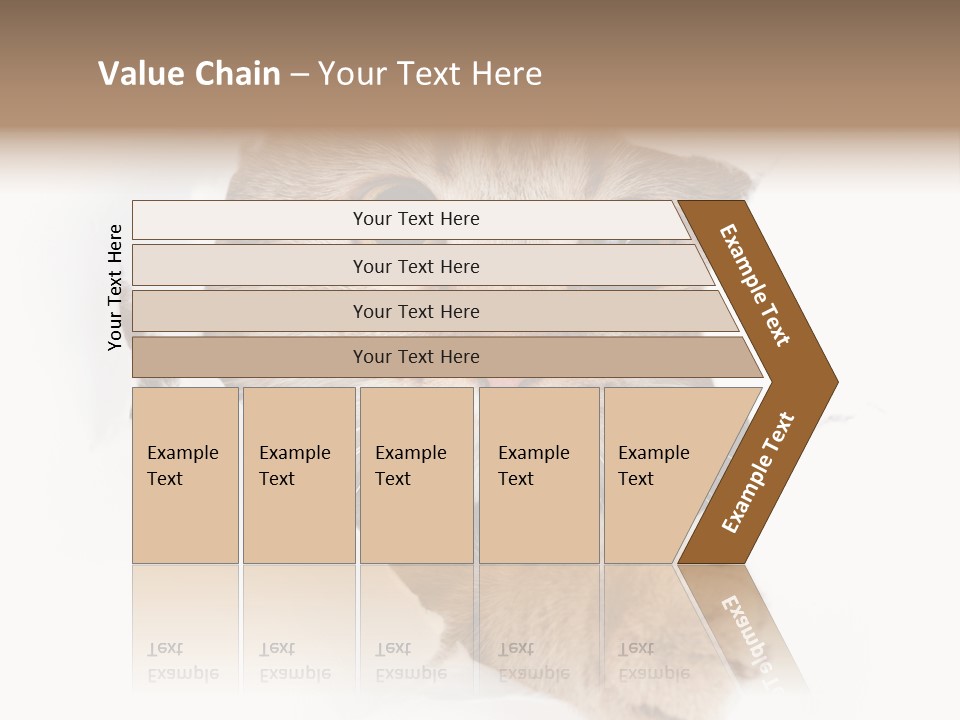A Cat Peeking Through A Hole In A Paper PowerPoint Template