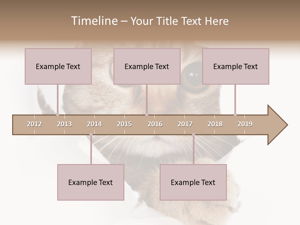 A Cat Peeking Through A Hole In A Paper PowerPoint Template