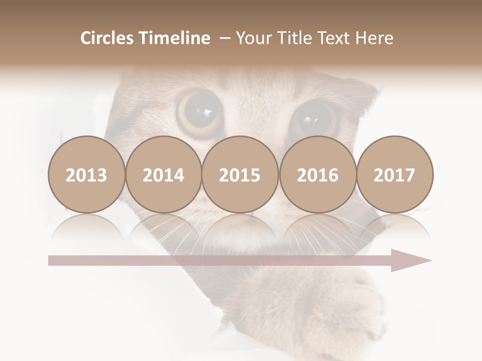 A Cat Peeking Through A Hole In A Paper PowerPoint Template