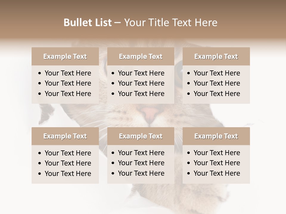 A Cat Peeking Through A Hole In A Paper PowerPoint Template