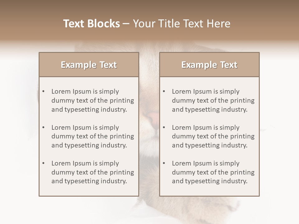 A Cat Peeking Through A Hole In A Paper PowerPoint Template