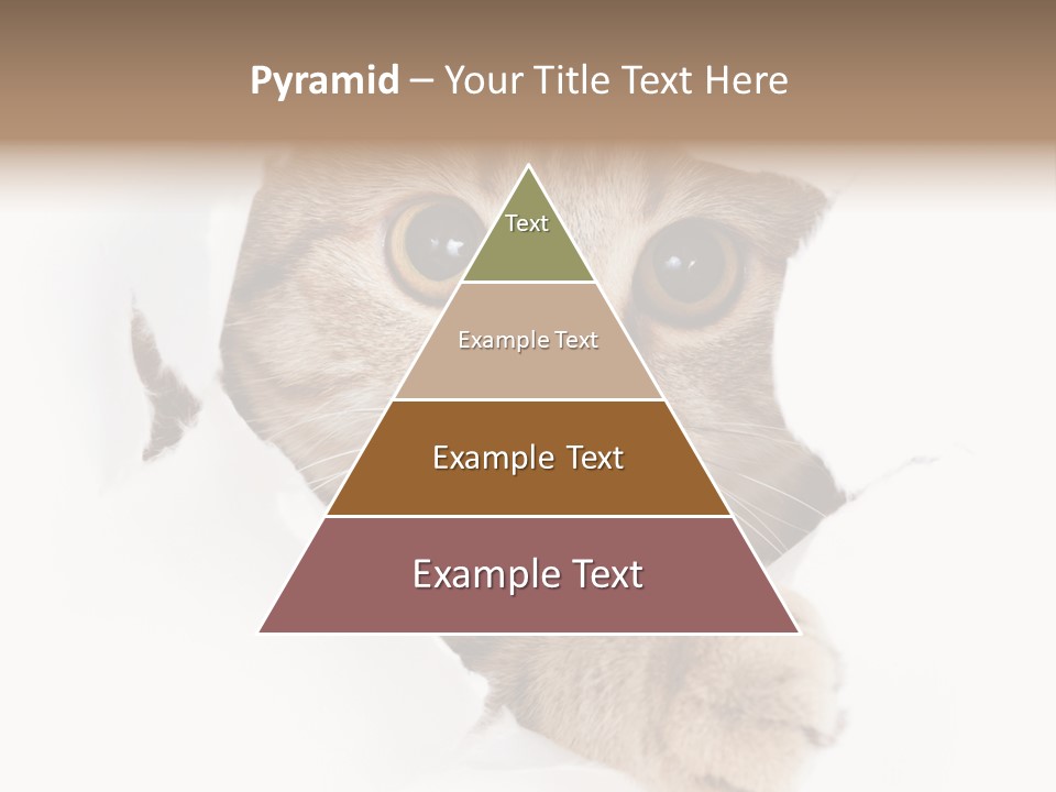 A Cat Peeking Through A Hole In A Paper PowerPoint Template