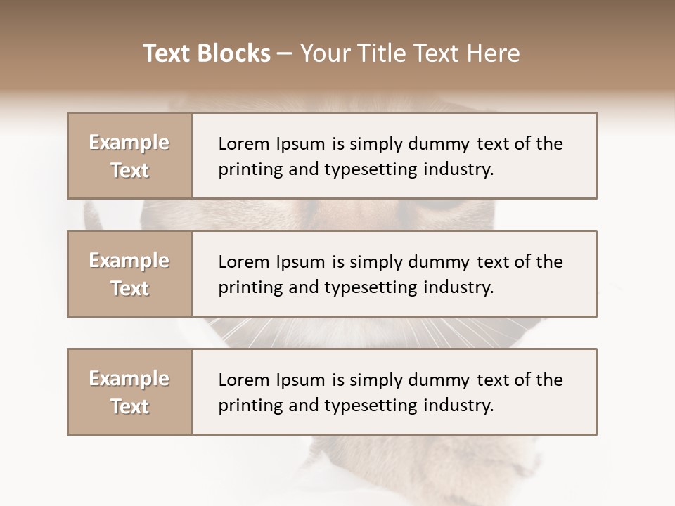A Cat Peeking Through A Hole In A Paper PowerPoint Template