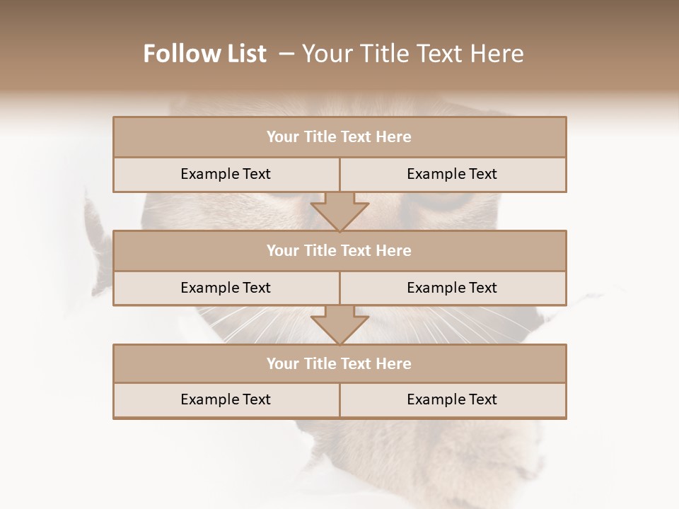 A Cat Peeking Through A Hole In A Paper PowerPoint Template