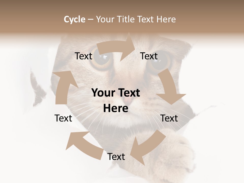 A Cat Peeking Through A Hole In A Paper PowerPoint Template