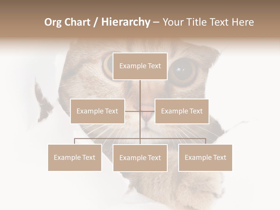 A Cat Peeking Through A Hole In A Paper PowerPoint Template