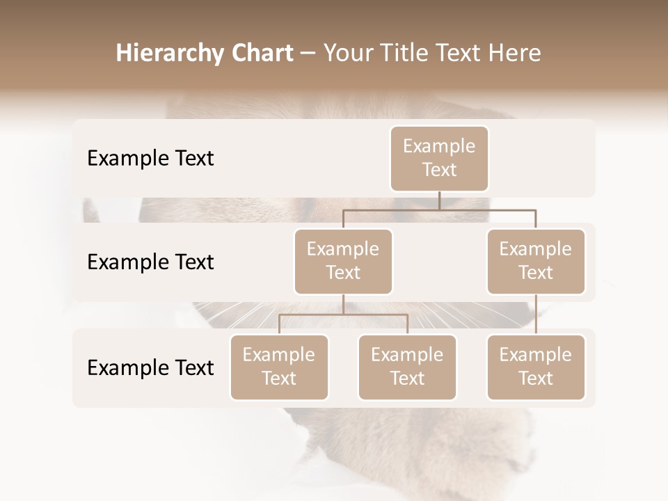 A Cat Peeking Through A Hole In A Paper PowerPoint Template