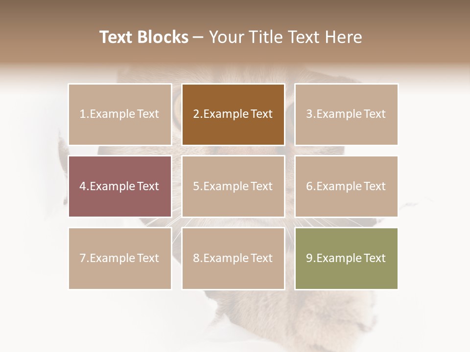 A Cat Peeking Through A Hole In A Paper PowerPoint Template