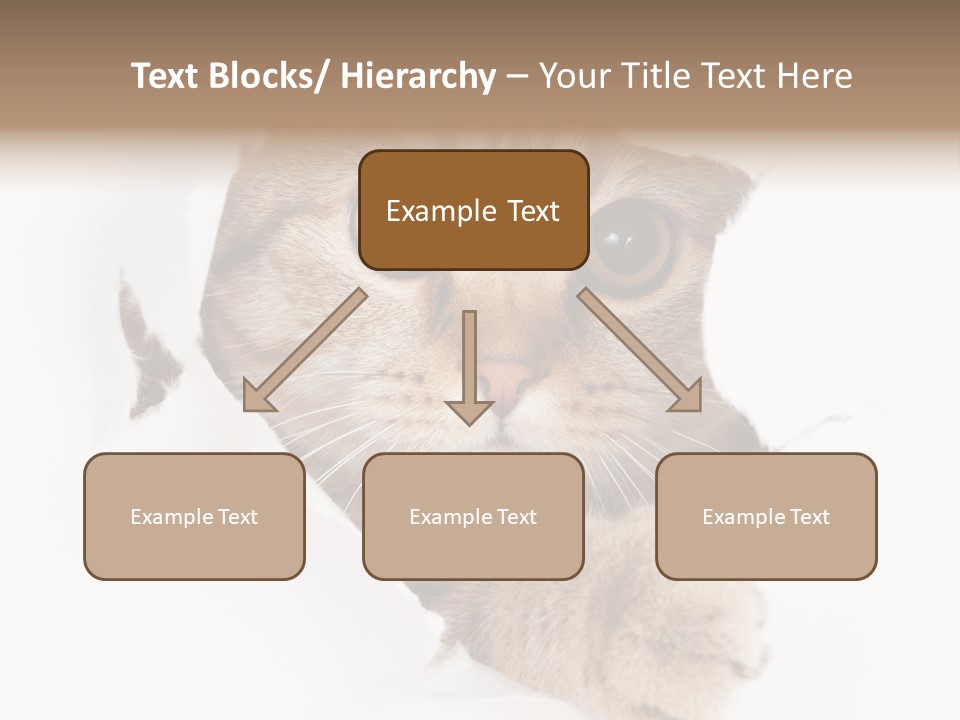 A Cat Peeking Through A Hole In A Paper PowerPoint Template
