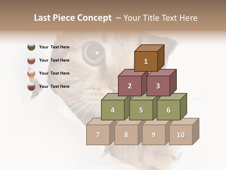 A Cat Peeking Through A Hole In A Paper PowerPoint Template