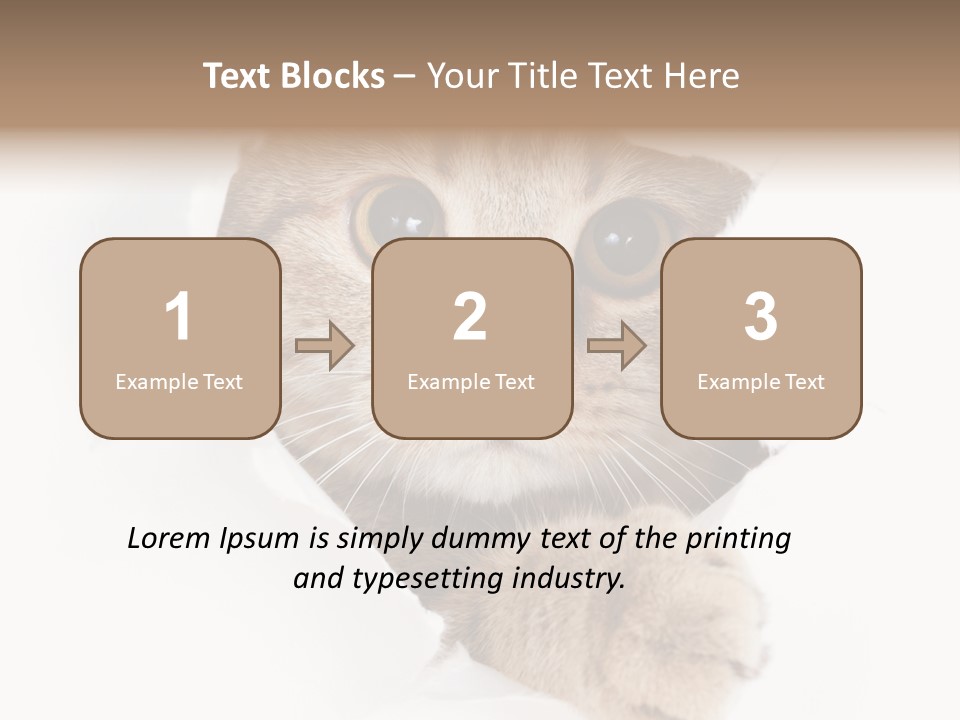 A Cat Peeking Through A Hole In A Paper PowerPoint Template