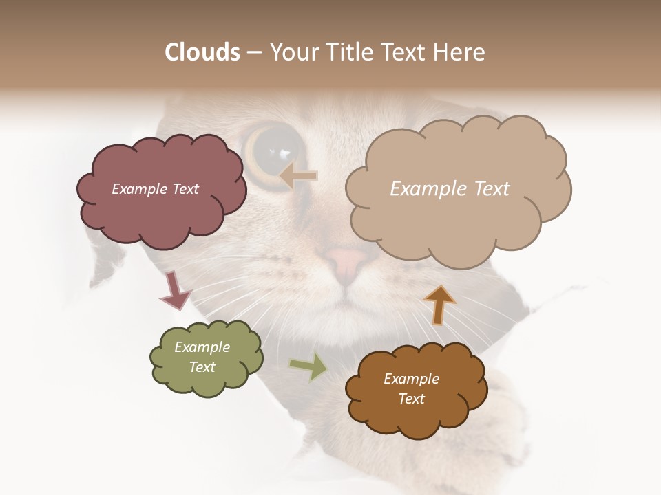 A Cat Peeking Through A Hole In A Paper PowerPoint Template