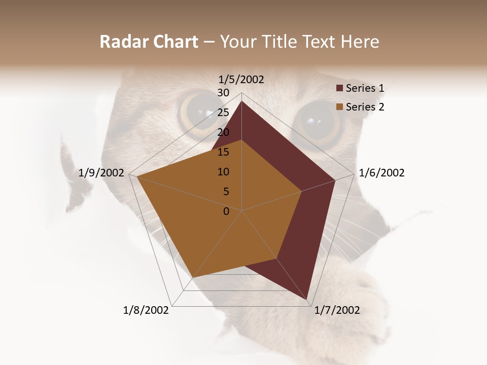 A Cat Peeking Through A Hole In A Paper PowerPoint Template