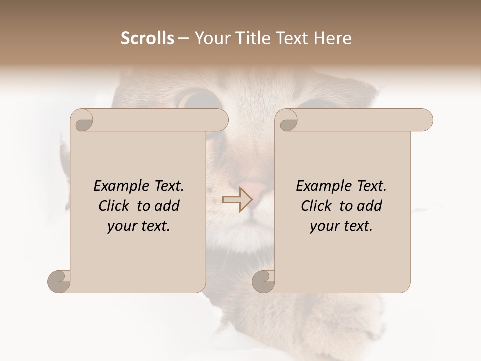 A Cat Peeking Through A Hole In A Paper PowerPoint Template