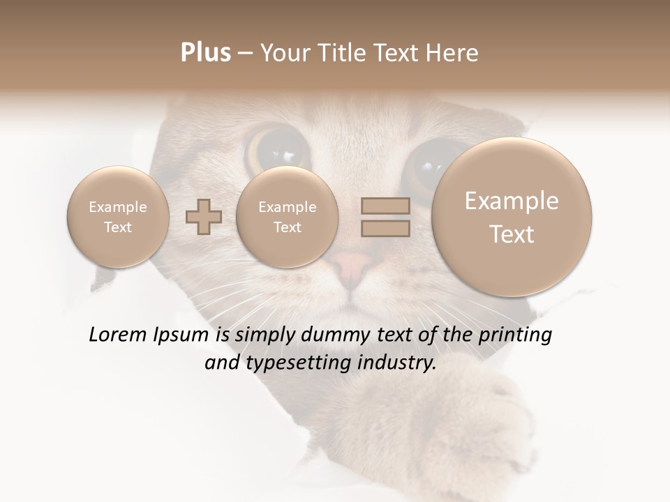 A Cat Peeking Through A Hole In A Paper PowerPoint Template