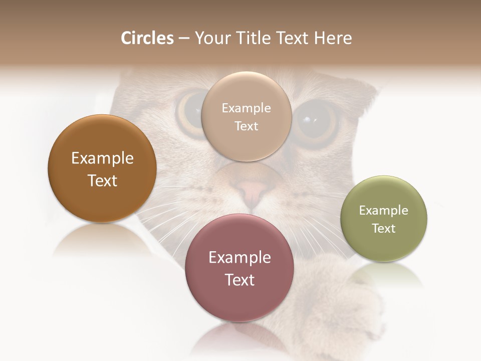 A Cat Peeking Through A Hole In A Paper PowerPoint Template