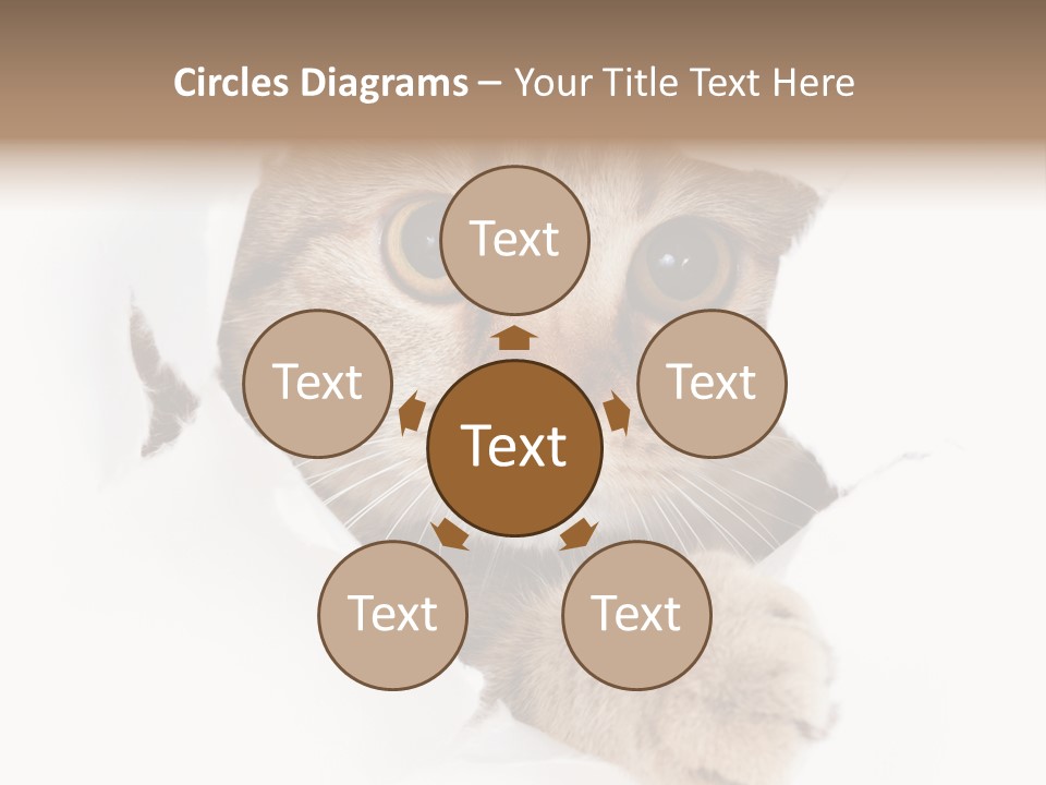 A Cat Peeking Through A Hole In A Paper PowerPoint Template