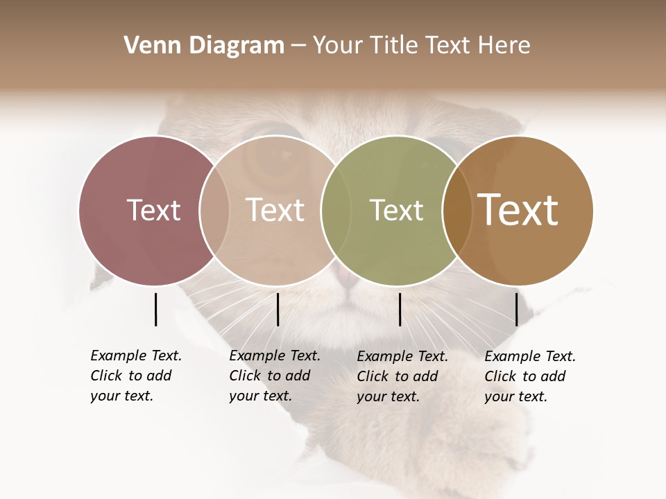 A Cat Peeking Through A Hole In A Paper PowerPoint Template