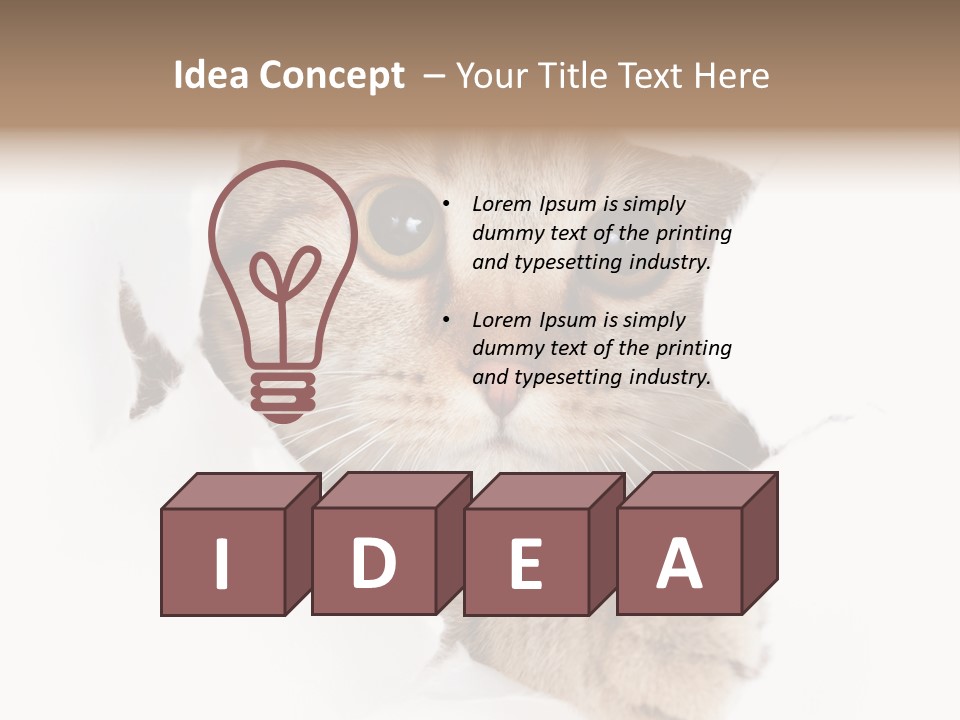 A Cat Peeking Through A Hole In A Paper PowerPoint Template