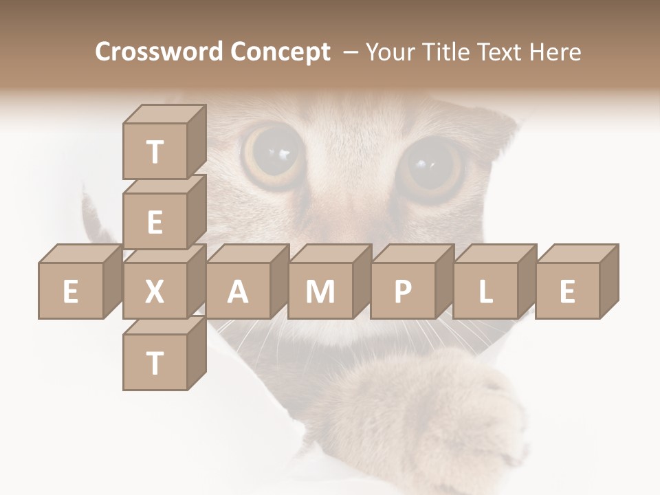 A Cat Peeking Through A Hole In A Paper PowerPoint Template