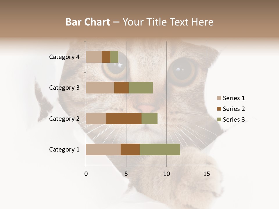 A Cat Peeking Through A Hole In A Paper PowerPoint Template