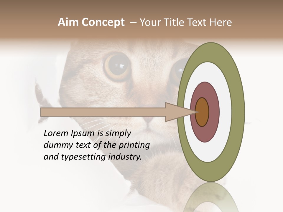A Cat Peeking Through A Hole In A Paper PowerPoint Template