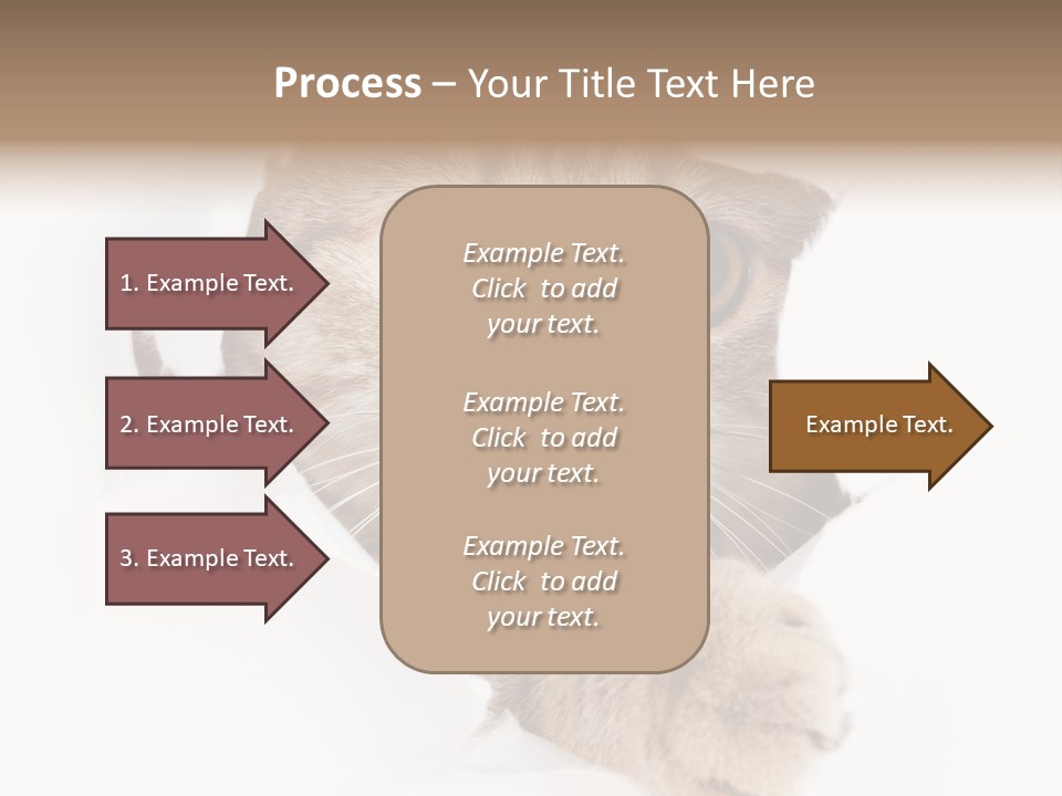 A Cat Peeking Through A Hole In A Paper PowerPoint Template