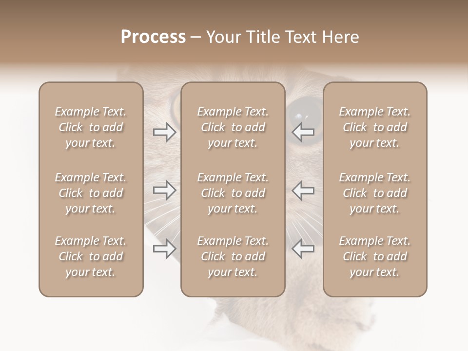 A Cat Peeking Through A Hole In A Paper PowerPoint Template