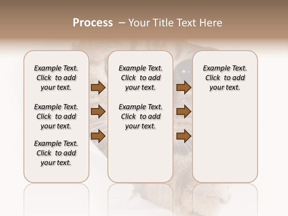 A Cat Peeking Through A Hole In A Paper PowerPoint Template