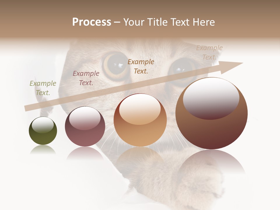 A Cat Peeking Through A Hole In A Paper PowerPoint Template
