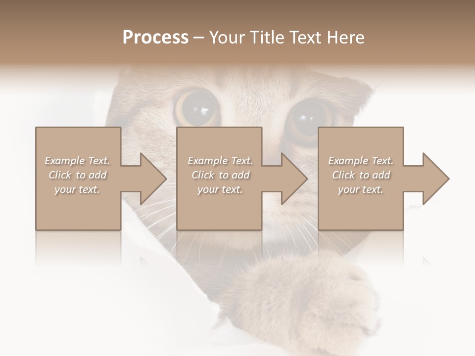 A Cat Peeking Through A Hole In A Paper PowerPoint Template