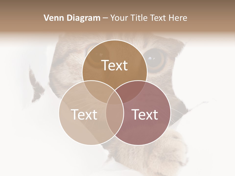 A Cat Peeking Through A Hole In A Paper PowerPoint Template