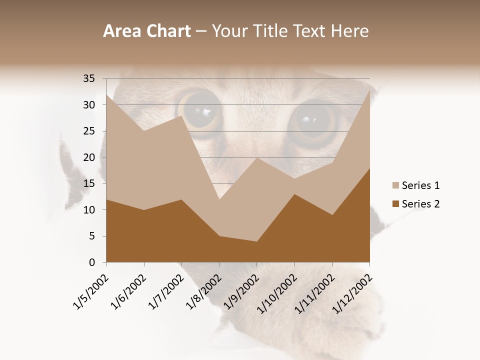 A Cat Peeking Through A Hole In A Paper PowerPoint Template