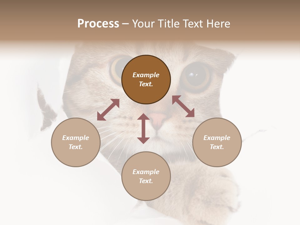 A Cat Peeking Through A Hole In A Paper PowerPoint Template