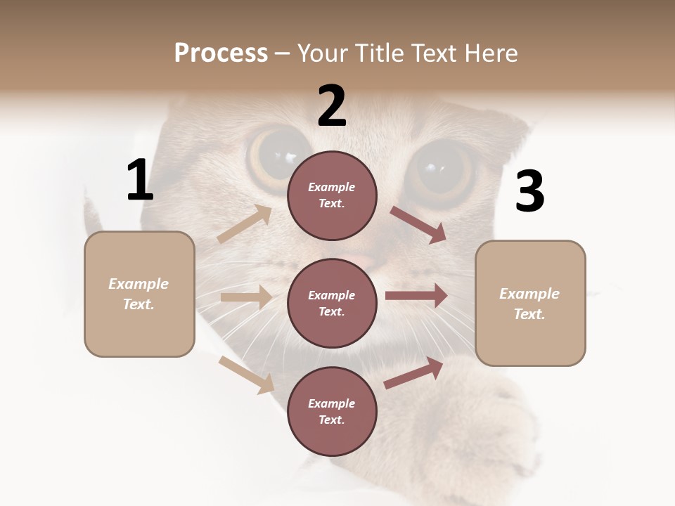 A Cat Peeking Through A Hole In A Paper PowerPoint Template