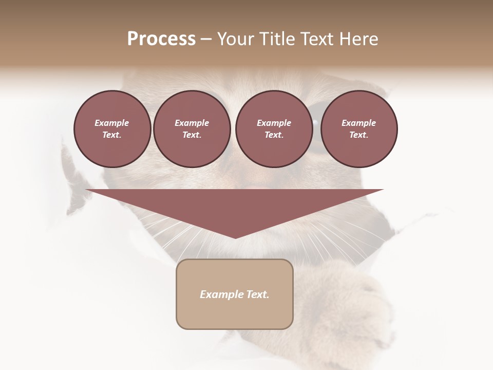 A Cat Peeking Through A Hole In A Paper PowerPoint Template