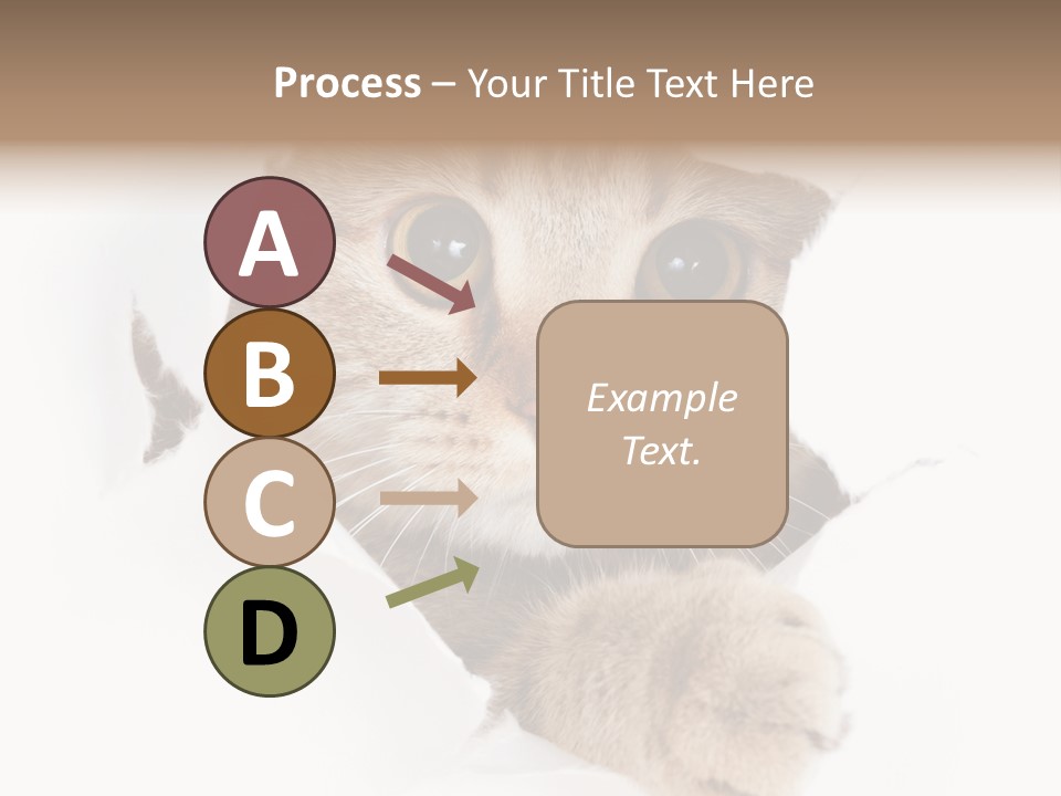 A Cat Peeking Through A Hole In A Paper PowerPoint Template