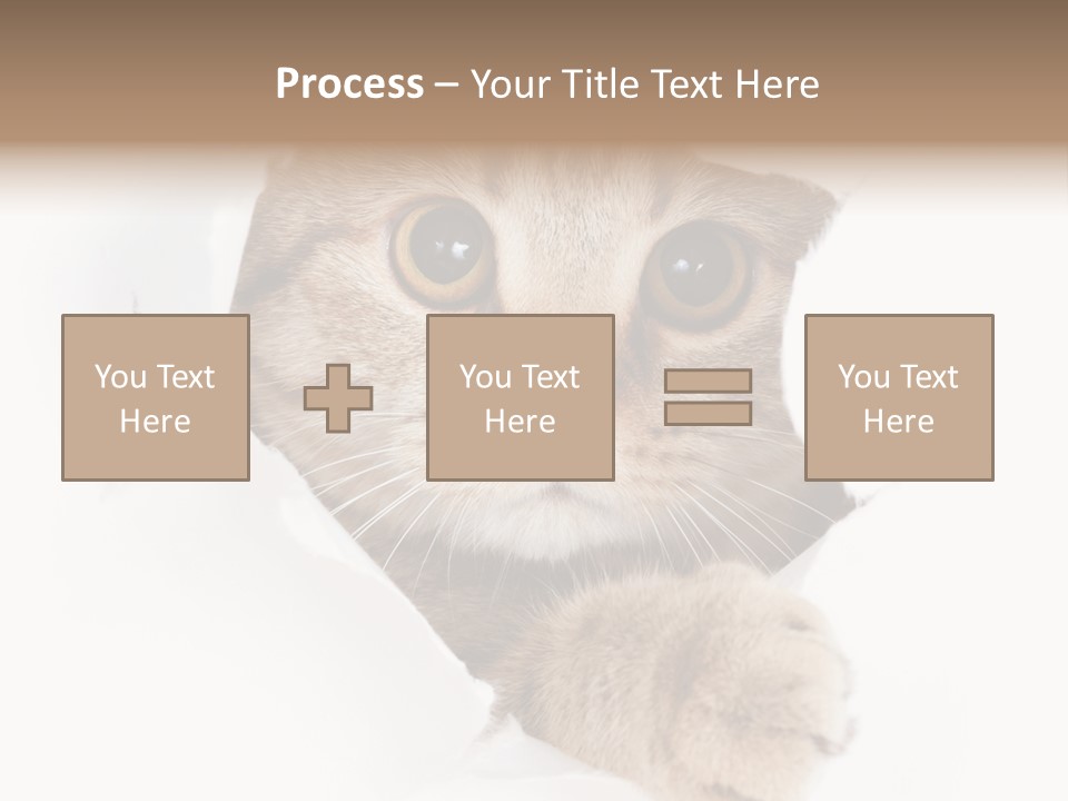 A Cat Peeking Through A Hole In A Paper PowerPoint Template