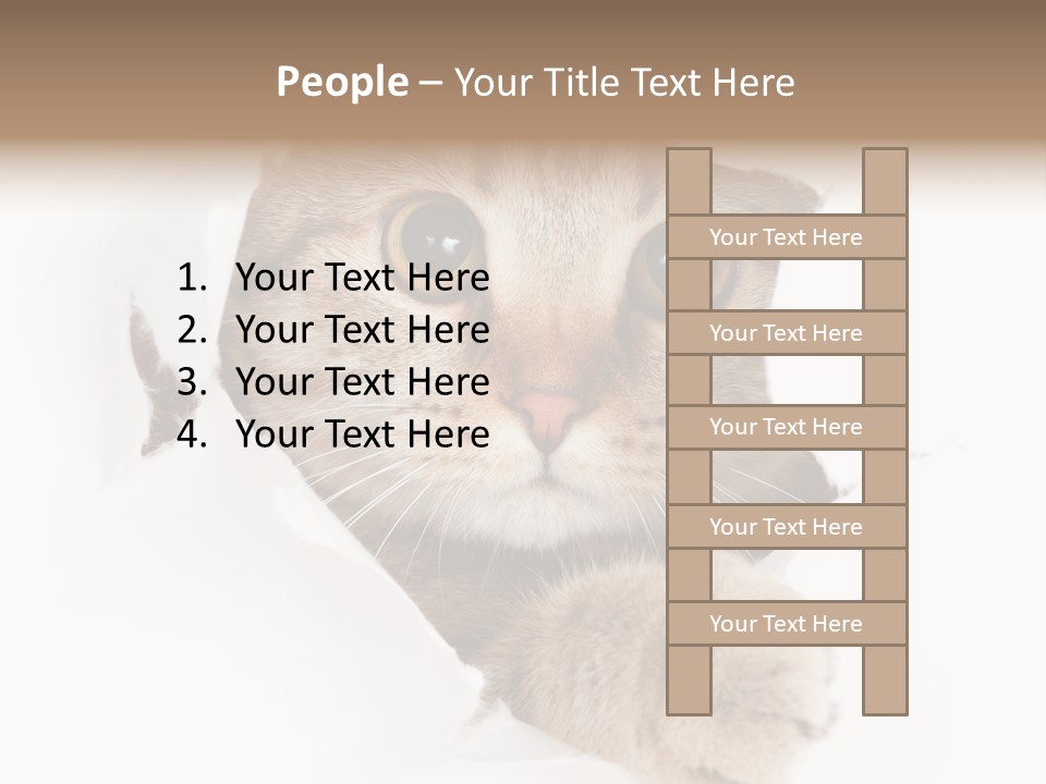 A Cat Peeking Through A Hole In A Paper PowerPoint Template