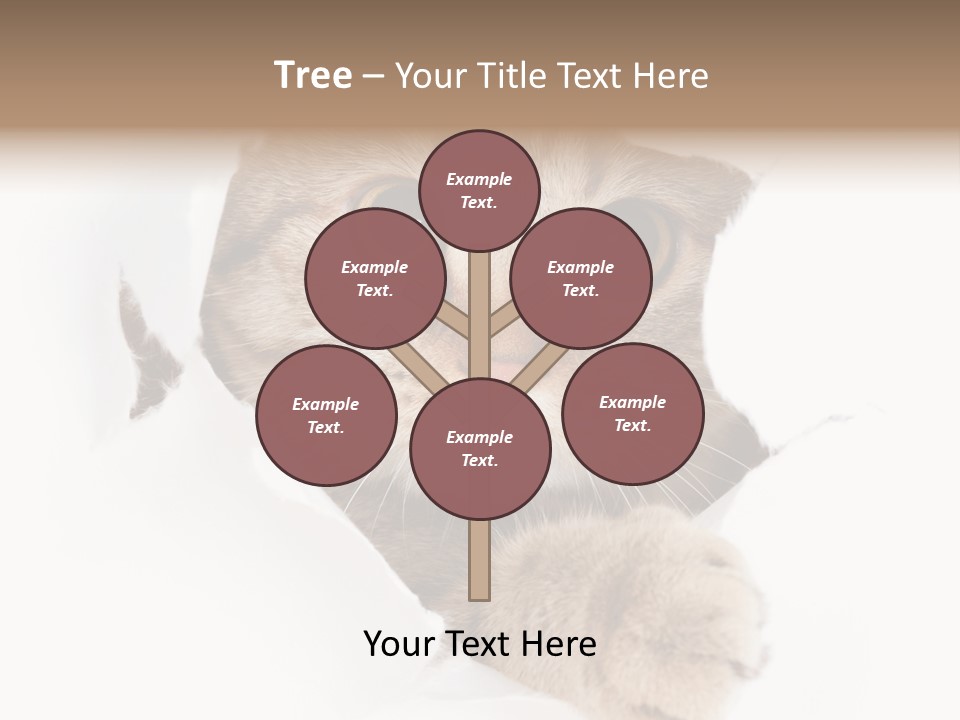 A Cat Peeking Through A Hole In A Paper PowerPoint Template