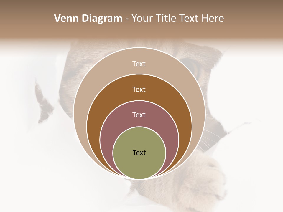 A Cat Peeking Through A Hole In A Paper PowerPoint Template