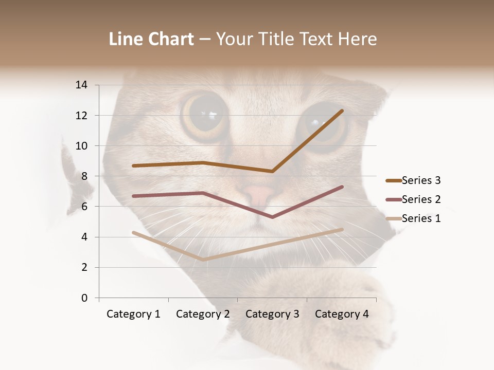 A Cat Peeking Through A Hole In A Paper PowerPoint Template