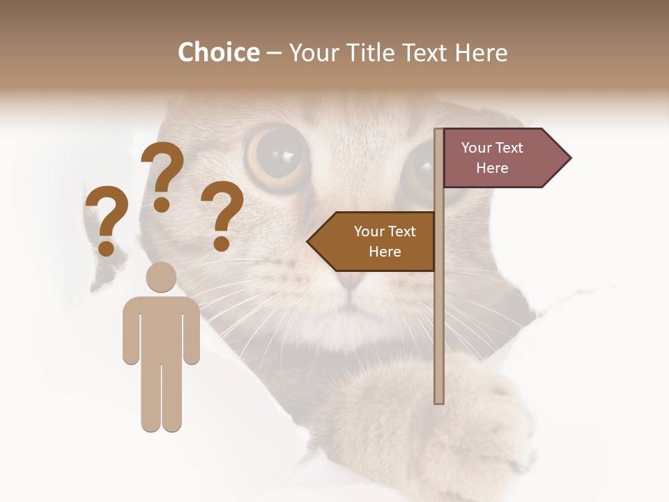 A Cat Peeking Through A Hole In A Paper PowerPoint Template