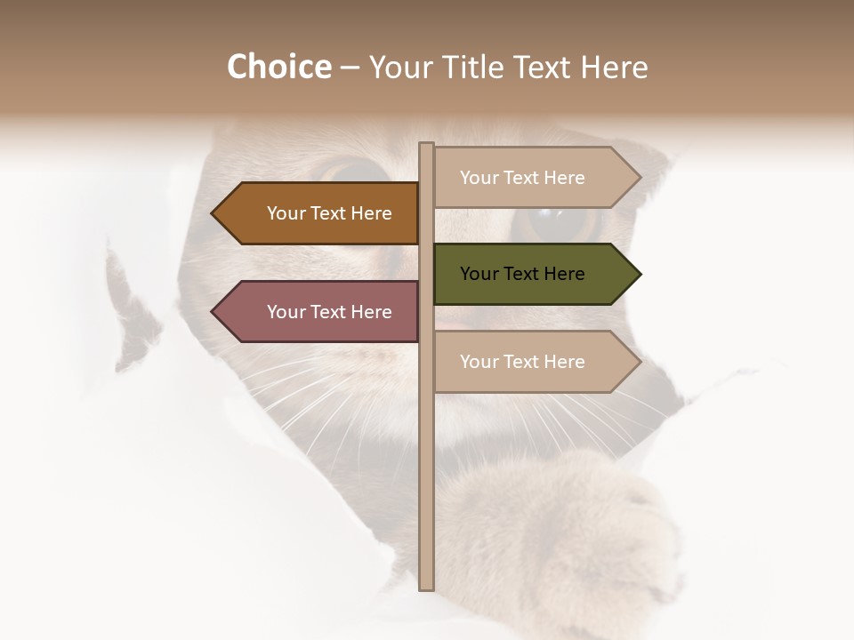 A Cat Peeking Through A Hole In A Paper PowerPoint Template