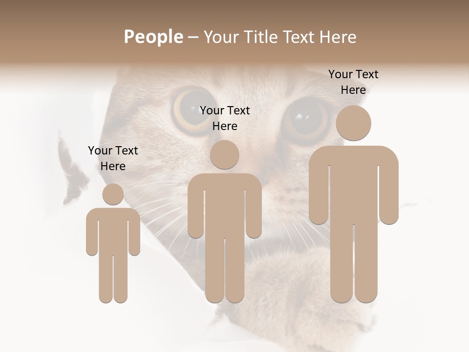 A Cat Peeking Through A Hole In A Paper PowerPoint Template