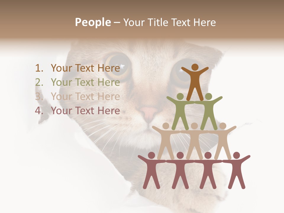 A Cat Peeking Through A Hole In A Paper PowerPoint Template