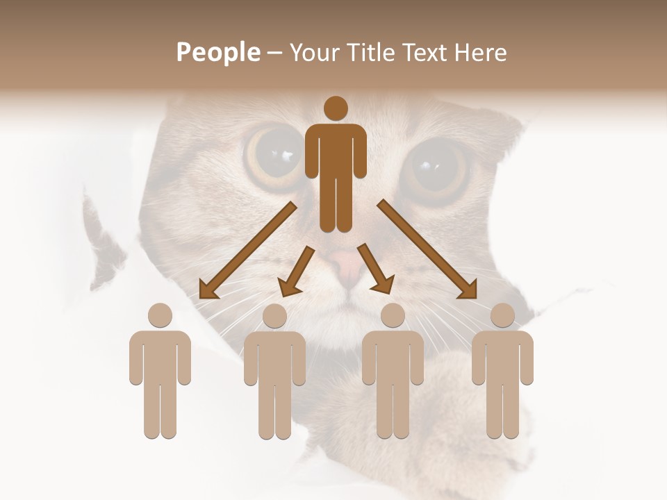 A Cat Peeking Through A Hole In A Paper PowerPoint Template